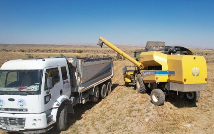 Kayseri Talas’ta aspir mesaisi başladı Kayseri Talas’ta aspir mesaisi başladı