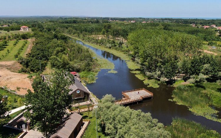 Acarlar Longozu turist akınına uğradı Acarlar Longozu turist akınına uğradı