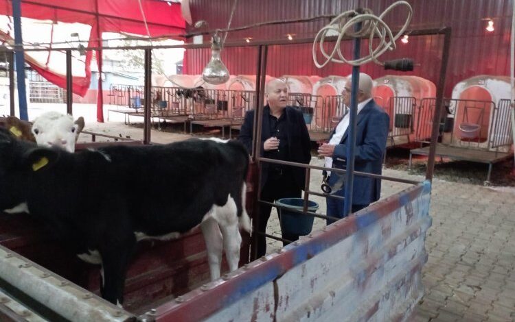 Kocaağa: Sığır yetiştiricilerimizin yanındayız Kocaağa: Sığır yetiştiricilerimizin yanındayız