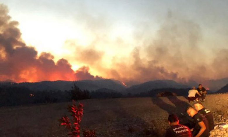 63 orman yangınından 43’ü kontrol altında 63 orman yangınından 43’ü kontrol altında