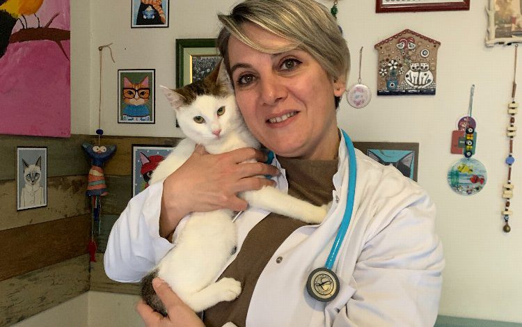 Evcil hayvanınızın kan grubunu biliyor musunuz? Evcil hayvanınızın kan grubunu biliyor musunuz?