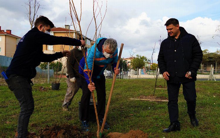 Kırklareli Lüleburgaz halkına meyve bahçesi Kırklareli Lüleburgaz halkına meyve bahçesi