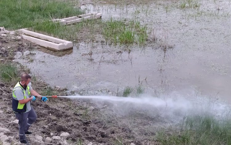 Kütahya 67 mahalleyi ilaçlıyor