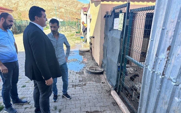 Sivas Hayvan Barınağı Meclis’e taşınacak