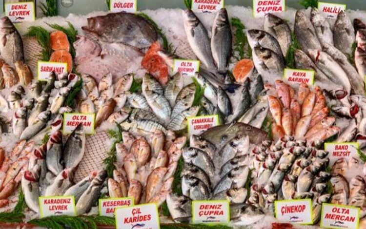 Tarım ÜFE’de balıkçılık Haziran’da arttı Tarım ÜFE’de balıkçılık Haziran’da arttı