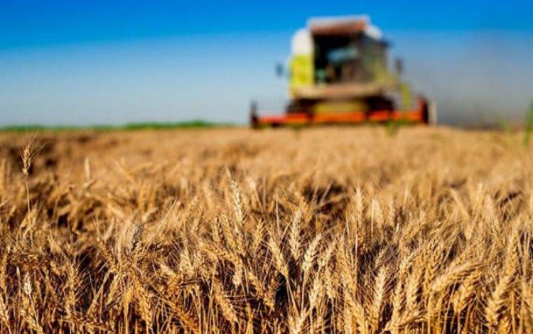 Kırsal kalkınma desteklerinde yeni dönem