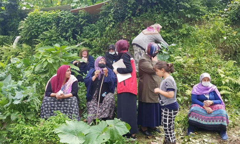 Rize’ye 1 milyon lira ‘Aile ve Sosyal’ desteği Rize’ye 1 milyon lira ‘Aile ve Sosyal’ desteği