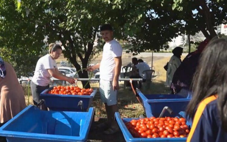 Kayseri Melikgazi’de Salça Kaynatma Günleri başladı Kayseri Melikgazi’de Salça Kaynatma Günleri başladı