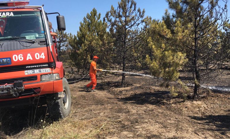 Ankara Atatürk Orman Çiftliği’ndeki yangın kontrol altına alındı Ankara Atatürk Orman Çiftliği’ndeki yangın kontrol altına alındı