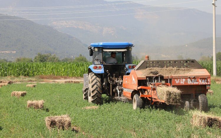 Toprak Muğla’dan üretim kooperatiflerden Toprak Muğla’dan üretim kooperatiflerden