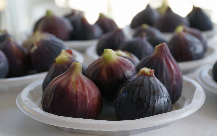 Bursa Mustafakemalpaşa’da ‘İncir Festivali’ heyecanı