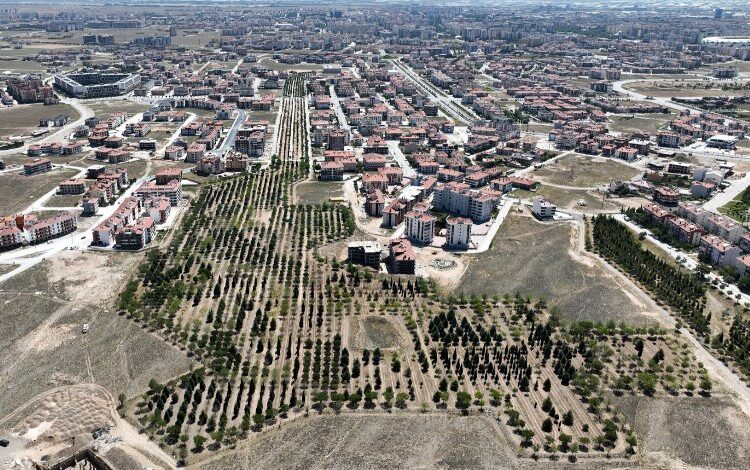 Konya Selçuklu’da Yelda Parkı şekilleniyor Konya Selçuklu’da Yelda Parkı şekilleniyor