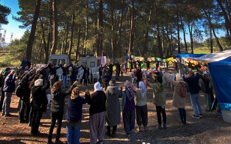 Muğla’da Akbelen Ormanı için ortak ‘sivil’ çağrı