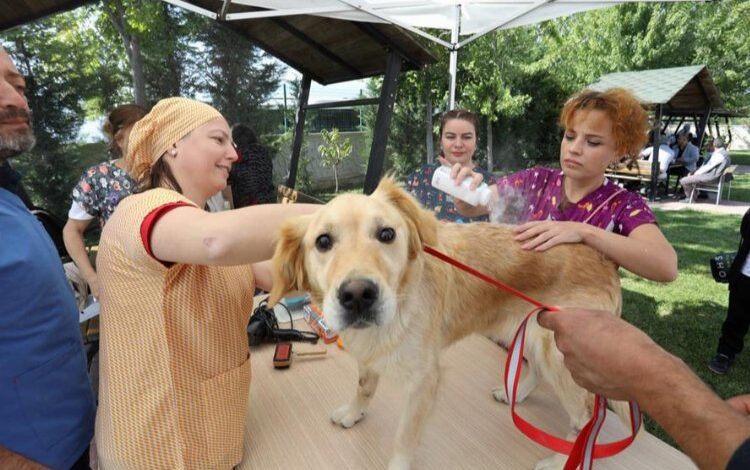 Bursa İnegöl’de 4 Ekim’e özel renkli kutlama