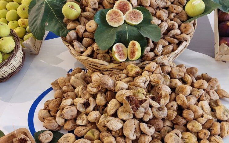 Kuru incir ihracatında tarihi rekor