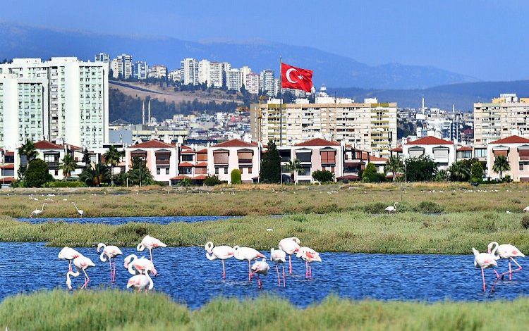 Flamingolar İzmirlileri büyülüyor Flamingolar İzmirlileri büyülüyor