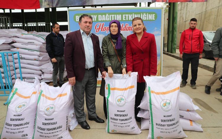 İzmit’te çiftçiye 83 ton Nusrat cinsi buğday tohumu İzmit’te çiftçiye 83 ton Nusrat cinsi buğday tohumu