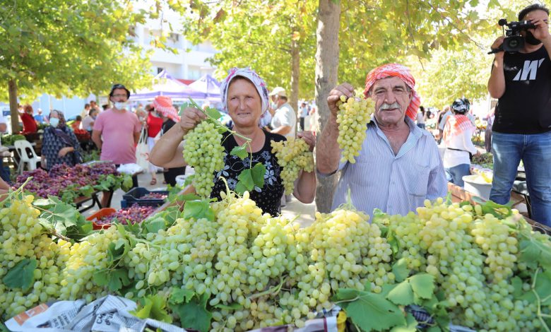 İzmir’de Urla Bağbozumu şenliği İzmir’de Urla Bağbozumu şenliği