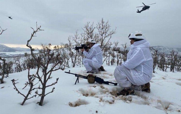 Eren Kış-20 Operasyonu Mardin’de başladı