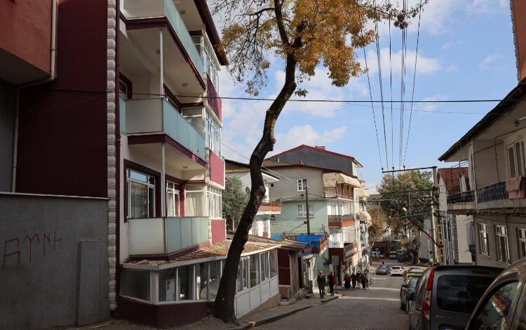 Kocaeli İzmit’te tehlike arz eden ağaçlar için önlem alacak Kocaeli İzmit’te tehlike arz eden ağaçlar için önlem alacak