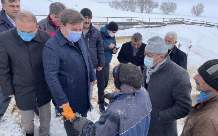 Aksaray’da ağılın çatısı çöktü! 30 koyun telef oldu! Aksaray’da ağılın çatısı çöktü! 30 koyun telef oldu!