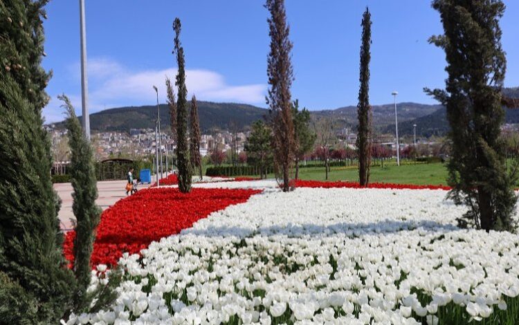 Baharın tüm renkleri Bursa’yı sardı Baharın tüm renkleri Bursa’yı sardı