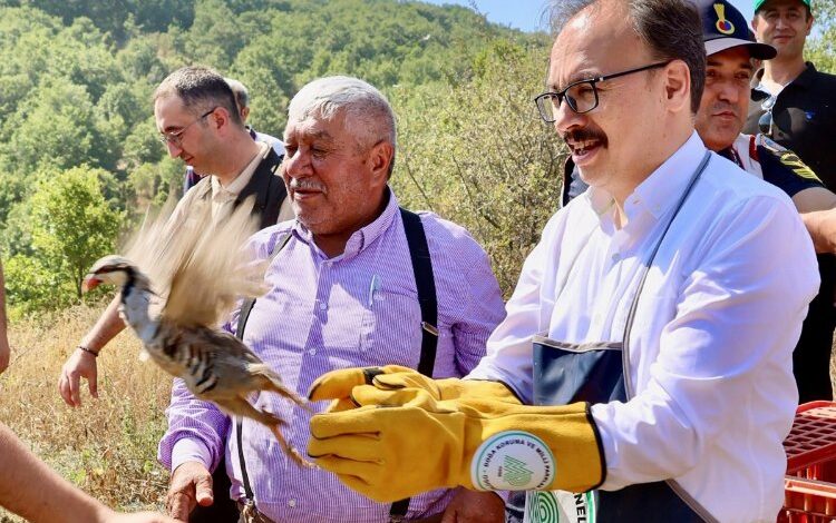 Bilecik’te 400 kınalı keklik doğayla buluştu