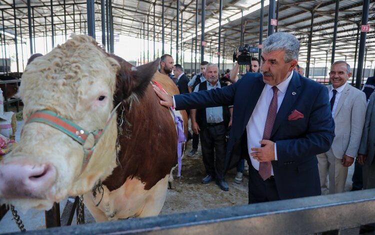 Kütahya’da ‘Kurban Pazarı’ açıldı