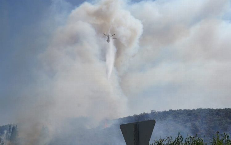 Milas’ta yangın! 2 mahalleyi tehdit ediyor Milas’ta yangın! 2 mahalleyi tehdit ediyor