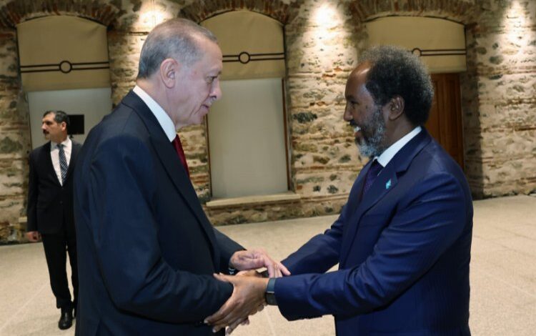 Cumhurbaşkanı Erdoğan, Somalili mevkidaşıyla görüştü