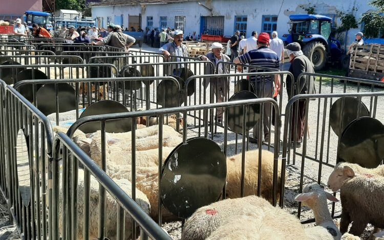 Pazaryeri’nde kurban satış yerine denetleme Pazaryeri’nde kurban satış yerine denetleme