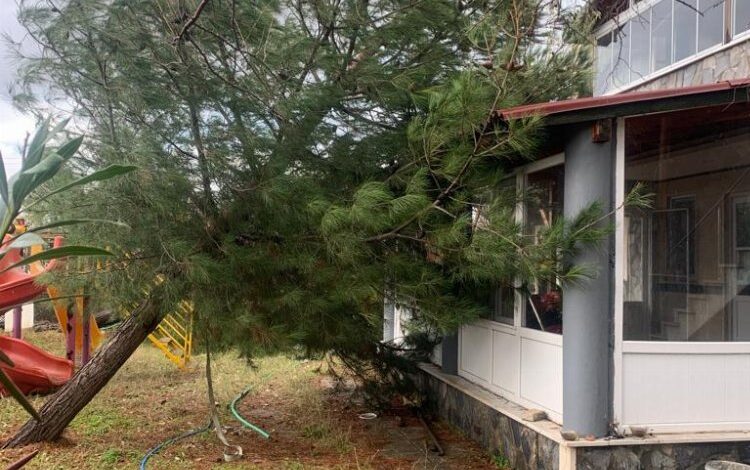 Edirne Keşan’da fırtına hasarı! Ağaç evin üzerine devrildi!