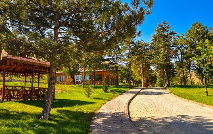 Büyükşehir Belediyesinden Malatya’nın yeşil dokusuna önemli katkı Büyükşehir Belediyesinden Malatya’nın yeşil dokusuna önemli katkı