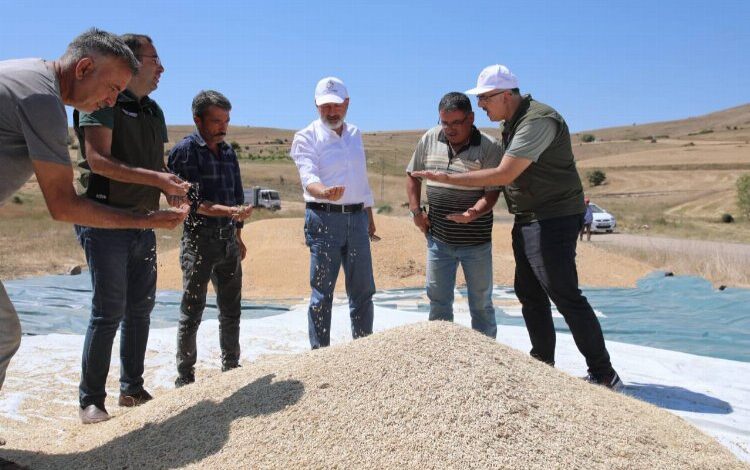 Kayseri Kocasinan’dan tarım hamlesi Kayseri Kocasinan’dan tarım hamlesi