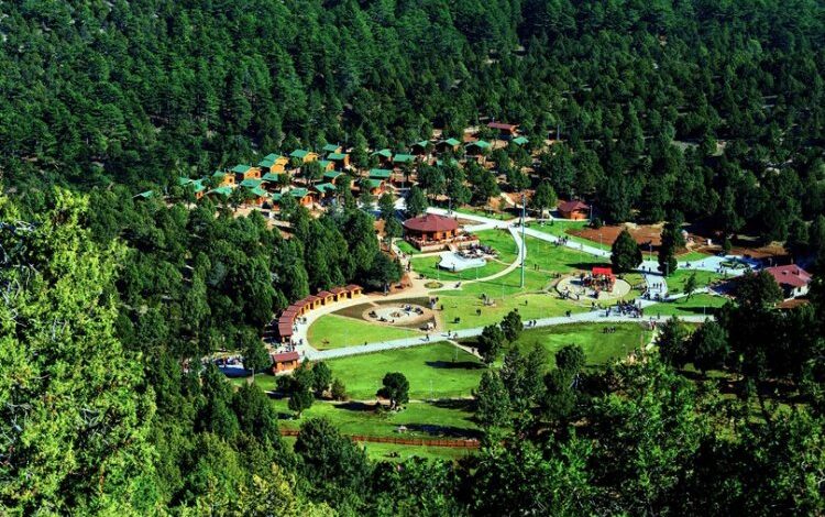 Sıcaktan bunalan yaylaya kaçıyor Sıcaktan bunalan yaylaya kaçıyor