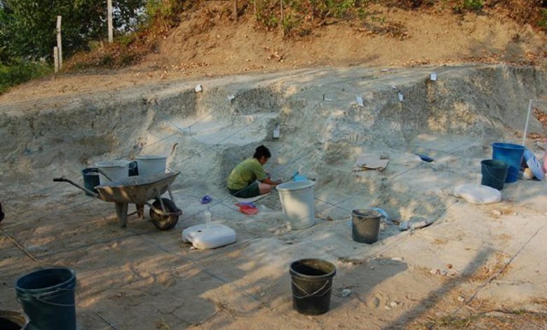 Çobandan tarihe ışık tutacak yemek Çobandan tarihe ışık tutacak yemek