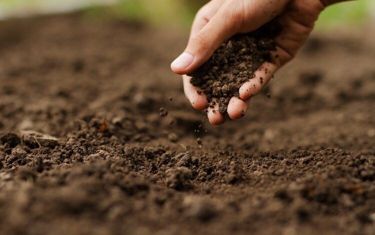 Türkiye’nin yüzde 73.4’ü çölleşme tehlikesi altında Türkiye’nin yüzde 73.4’ü çölleşme tehlikesi altında