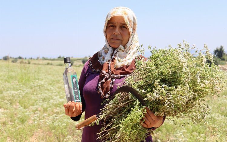 Kırsal turizmde kalkınmanın öncüsü olacaklar