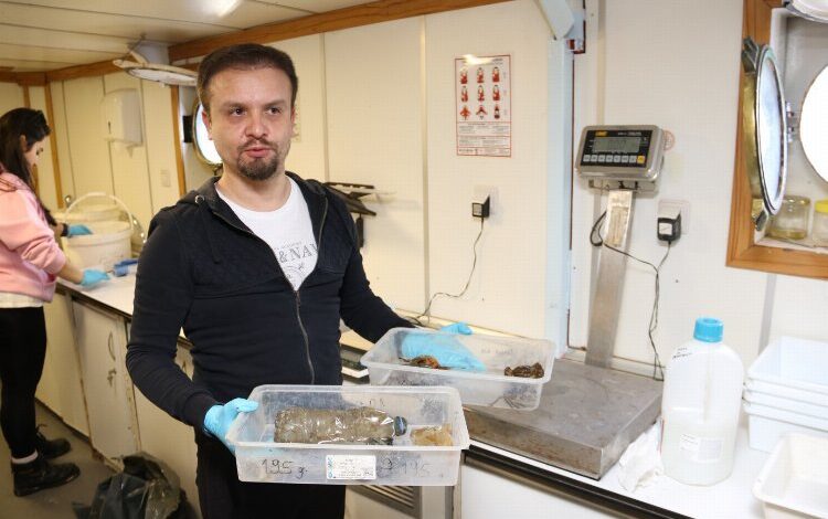 İzmit Körfezi’nde deniz yaşamı kayıt altında İzmit Körfezi’nde deniz yaşamı kayıt altında