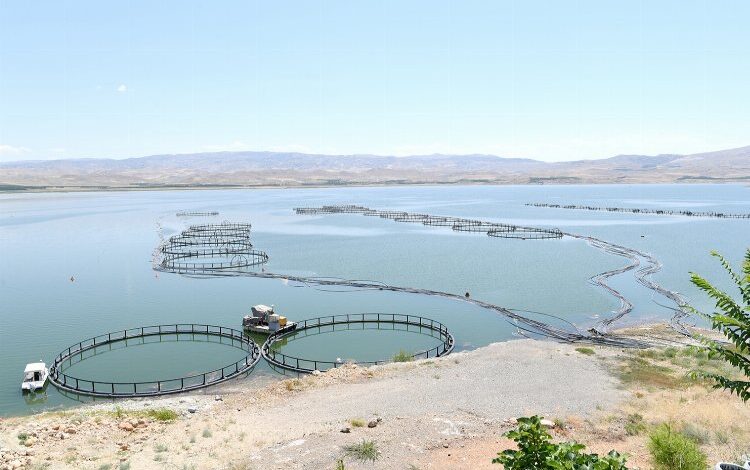 Depremzede su ürünleri yetiştiricisi ve balıkçılara destek Depremzede su ürünleri yetiştiricisi ve balıkçılara destek