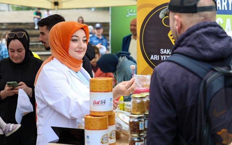 Bal yapan arı Sakarya