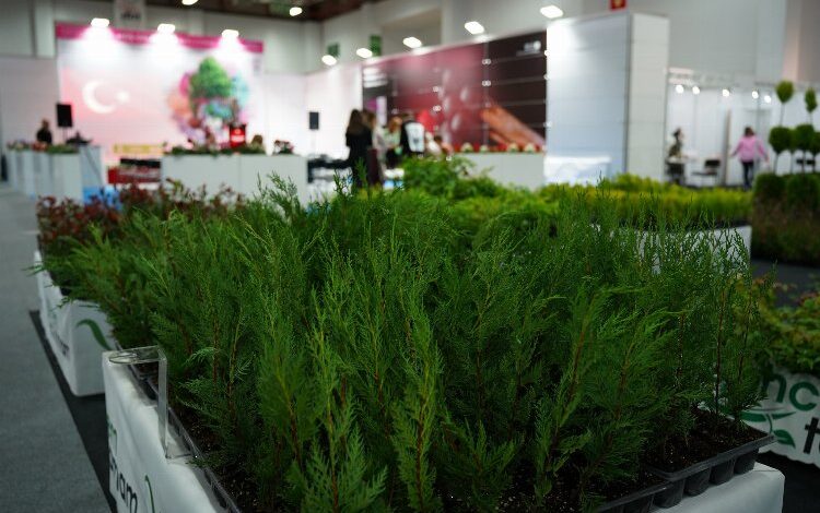 Türkiye, dünya süs bitkileri pazarında söz sahibi oluyor!