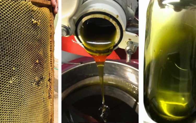 Bursa’da akademisyenler fonksiyonel bal üretti