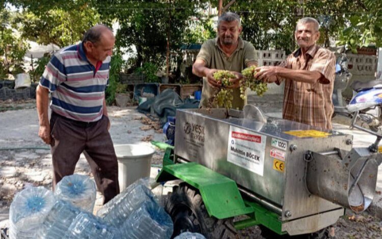 Bağ üreticilerine bir destek daha