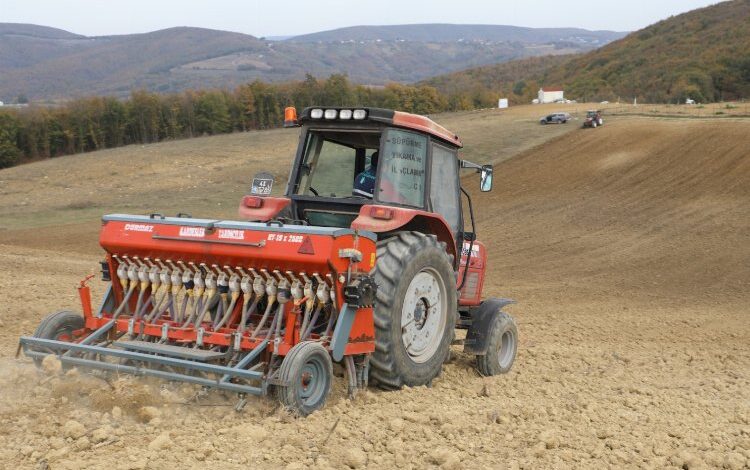 İzmit’te Nusrat buğdayları toprakla buluşturuldu