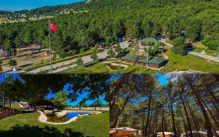 Sıcaktan bunalan Kefe’ye koşuyor Sıcaktan bunalan Kefe’ye koşuyor