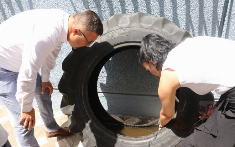 Atık lastiklere dikkat! Sivrisinek üretiyor Atık lastiklere dikkat! Sivrisinek üretiyor