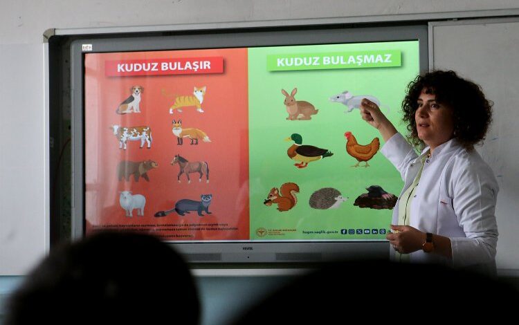 Kuduz tehlikesinden uzaklaştıracak altın kurallar Kuduz tehlikesinden uzaklaştıracak altın kurallar