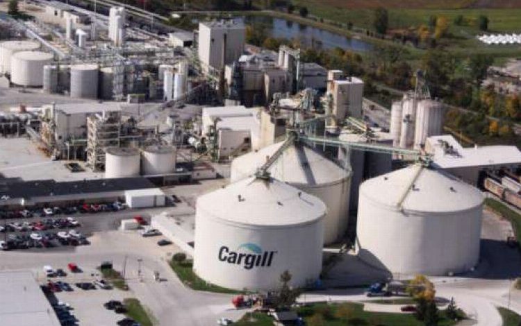 Cargill Türkiye: “Yüksek çevre bilinciyle hareket etmekteyiz” Cargill Türkiye: “Yüksek çevre bilinciyle hareket etmekteyiz”