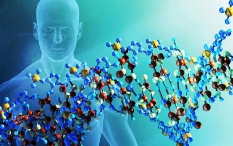 300 yaşına kadar yaşamak mümkün mü? 300 yaşına kadar yaşamak mümkün mü?